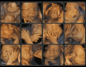 /Content/ServiceImages/3D_1 (1).jpg